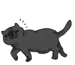 British Shorthair fat cat sticker #10072794