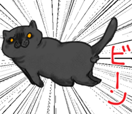 British Shorthair fat cat sticker #10072795