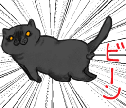 British Shorthair fat cat sticker #10072795