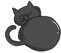 British Shorthair fat cat sticker #10072798