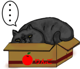 British Shorthair fat cat sticker #10072806