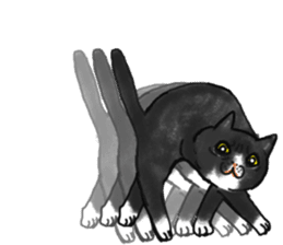British Shorthair Fat Cat By Wataameco Sticker 10072809