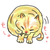 British Shorthair fat cat sticker #10072812