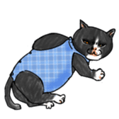 British Shorthair fat cat sticker #10072813