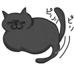 British Shorthair fat cat sticker #10072817