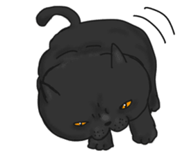 British Shorthair fat cat sticker #10072820