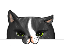 British Shorthair fat cat sticker #10072823