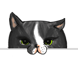British Shorthair fat cat sticker #10072823