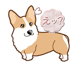 Daily life of Corgi sticker #10073705