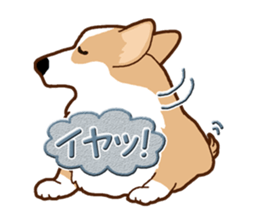 Daily life of Corgi sticker #10073715