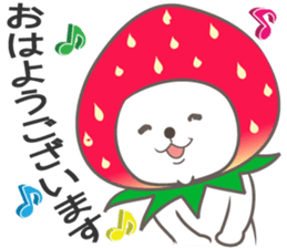 white bb sticker #10074664