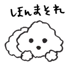 happy toy poodle life sticker #10075886