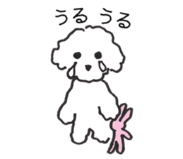 happy toy poodle life sticker #10075888