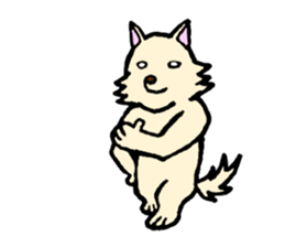 A white dog with short legs sticker #10078187