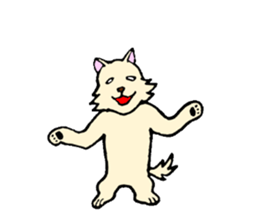 A white dog with short legs sticker #10078192