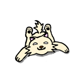 A white dog with short legs sticker #10078193