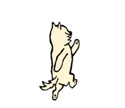 A white dog with short legs sticker #10078209