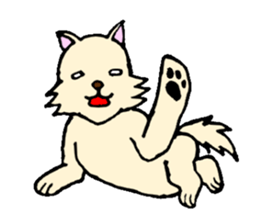 A white dog with short legs sticker #10078219