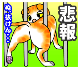 Tamabu- 3 sticker #10078601