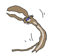 usamimineko sticker #10079131