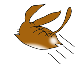 usamimineko sticker #10079149