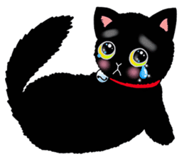 Poker face & Piggy cat Part3(English) sticker #10081746