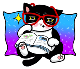 Poker face & Piggy cat Part3(English) sticker #10081749