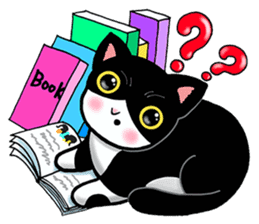 Poker face & Piggy cat Part3(English) sticker #10081750