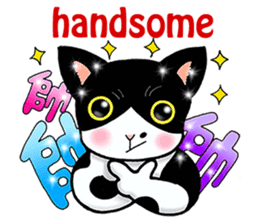 Poker face & Piggy cat Part3(English) sticker #10081751