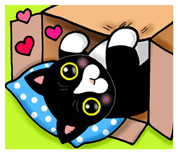 Poker face & Piggy cat Part3(English) sticker #10081752