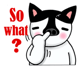 Poker face & Piggy cat Part3(English) sticker #10081758
