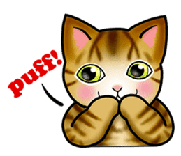 Poker face & Piggy cat Part3(English) sticker #10081770