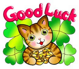 Poker face & Piggy cat Part3(English) sticker #10081772