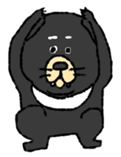 Tasmanian Devil ~keep cool~ sticker #10082744