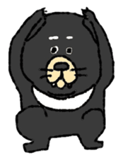 Tasmanian Devil ~keep cool~ sticker #10082744