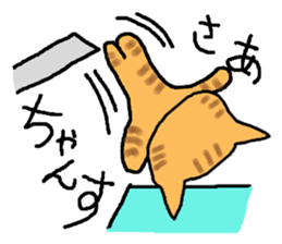 The cat challenges 40 kinds of sports sticker #10083756