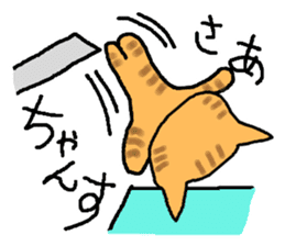 The cat challenges 40 kinds of sports sticker #10083756