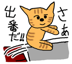 The cat challenges 40 kinds of sports sticker #10083758