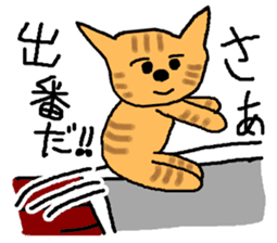 The cat challenges 40 kinds of sports sticker #10083758