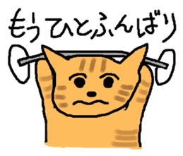 The cat challenges 40 kinds of sports sticker #10083768