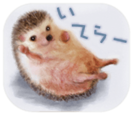 BOCKLE  -The hedgehog- sticker #10084939