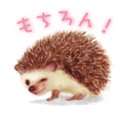 BOCKLE  -The hedgehog- sticker #10084942