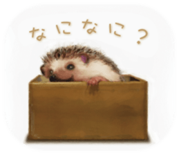 BOCKLE  -The hedgehog- sticker #10084945