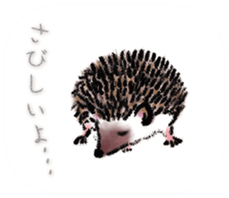 BOCKLE  -The hedgehog- sticker #10084955