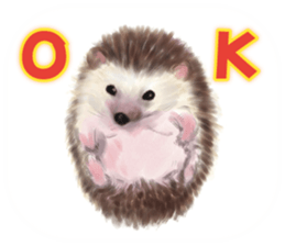 BOCKLE  -The hedgehog- sticker #10084956