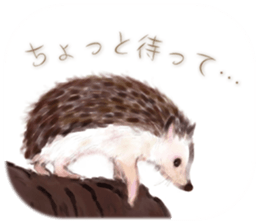 BOCKLE  -The hedgehog- sticker #10084958