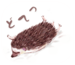 BOCKLE  -The hedgehog- sticker #10084959