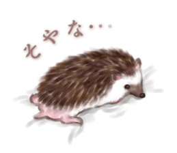 BOCKLE  -The hedgehog- sticker #10084960