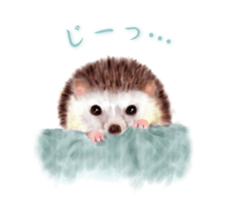 BOCKLE  -The hedgehog- sticker #10084962