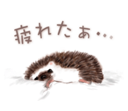 BOCKLE  -The hedgehog- sticker #10084963